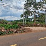 Bán đất sẵn thổ cư 365m2 mặt tiền lý thái tổ, đambri