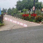 Vườn cây ăn trái tại châu thành, long an - cách trung tâm sg đúng 50km. giá: 550tr