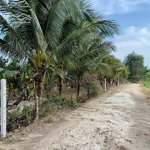 Bán đất tại minh mạng, ninh hiệp, ninh hòa, khánh hòa, 4 triệu/m2, 1038 m2