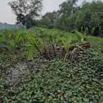 đất sau lưng chợ phú thuận diện tích 20 x 50m công nhận 938 m2 giá 16 tỷ