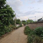 Bán gấp đất 383m2 tại đường 415, xã minh quang, ba vì, hà nội chỉ với 1,5 tỷ