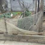 113m2 đồng trúc, giáp đường đl thăng long