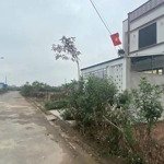 Bán gấp đất nền 85m2 tại đường 362, xã tân viên, an lão, hải phòng, giá siêu hời 1,15 tỷ vnd