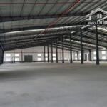 Cho thuê kho xưởng xã cần đước, long an, diện tích đất: 5.000m2, nhà xưởng: 2.500m2, trạm 1.250kva