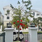 Siêu hot căn grand villa aqua city 300m2 bán lỗ chỉ 14 tỷ. khu compound trái tim aqua city