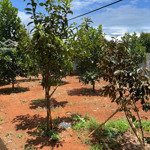 Chính chủ bán gấp đất nền 896,2m2 bàu chinh, châu đức, br-vt (cách ql56 200m, mặt tiền đường 5m)
