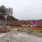 Chính chủ bán lô đất 81m2 đấu giá cốc lương, tân hưng, sóc sơn, hn giá đầu tư