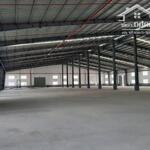 Cần chuyển nhượng nhà xưởng kcn long thành, p. an phước, long thành đồng nai