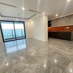 Cho thuê chung cư diamond nhà mới 100% diện tích siêu lớn giá cực tốt miễn phí quản lý 2-3 năm