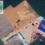 Cho thuê nhà xưởng gần 10.000m2 tại phú giáo, bình dương