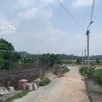 Bán 145m2 đất kcn tam dương 1 khu vực 2, đạo tú, tam dương, vĩnh phúc