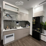 Cho thuê cc 1pn, 11 triệu vnd, 42m2 tại vinhomes symphony riverside, long biên, hn, giá siêu hời