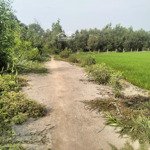 Bán đất tại đường tỉnh lộ 15, xã tân thạnh đông, củ chi, hồ chí minh, 4 tỷ, 1671 m2 chỉ với hot!