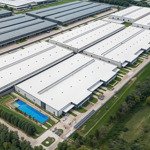 Cho thuê kho xưởng kcn tân phú trung, củ chi, khuôn viên: 10.000m2, xưởng: 6.000m2, pccc tự động