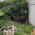 Hàng hiếm tại thôn đại phùng xã đan phượng, chỉ với 59 triệu/m2, 108.9m2 đất thổ cư