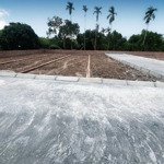 Bán lô đất trung tâm xã mỹ đức h an lão hải phòng đường rộng gần 7m giá 555tr