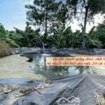 Cần bán 10.788m2 đất trồng cây lâu năm 4 thửa liền kề xã cây gáo, trảng bom, đồng nai