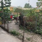 Bán đất phố trung kiên, tây tựu. bắc từ liêm. dt 82m2, giá 6.9 tỷ
