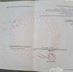 Cần bán lô góc 95,5m2 đấu giá việt cường - yên mỹ đường trục chính rộng 9m, giá chỉ 3,5 tỷ