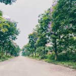 Nhỉnh 9 tỷ sở hữu ngay căn biệt thự vinaconex2-kdt quang minh- mê linh- hn 0967522585