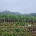 Cơ hội sở đầu tư đất rẻ full thổ cư tại hòa bình