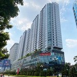 Bán 2 sàn thương mại golden palm mặt tiền 15m dòng tiền 2 tỷ/năm 287m2