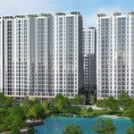 Cho thuê ngay chcc prosper,diện tích65m2, 2 phòng ngủ 2 vệ sinh giá bán 12 triệu/th q. 12