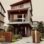 Biệt thự giá chỉ từ 80tr/m2 cả xây quá hợp lý để ở và đầu tư tại vinhomes royal island - vũ yên