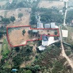 Lô đất với diện tích 3558,2m2 trong đó có 150m2 đất ở, diện tích còn lại là đất cây lâu năm