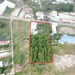 Bán đất 3105m2 tại đường bưng môn, xã long an, long thành, đồng nai, giá siêu hời 17 tỷ