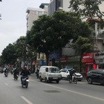 Nguyễn trãi ngõ kinh doanh ô tô -8 tầng thang máy lô góc - gần phố - toà nhà vp vừa ở vừa cho thuê