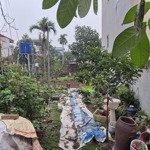 Bán đất tại đường tô hiệu, xã nghĩa trụ, văn giang, hưng yên, 2,439 tỷ, 64,2 m2, uy tín giá ưu đãi