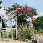 Chính chủ cần bán nhà vườn , có rất nhiều cây ăn trái lâu năm . giá nhỉnh 4 tỉ .