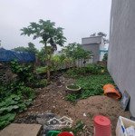 Bán đất trương văn lực, hùng vương, hồng bàng, hải phòng giá siêu hời 1,3 tỷ, 70m2