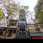 Bán nhà siêu vị trí 6 tầng mt ngay vòng xoay điện biên phủ quận 1 - (4x20m) - hđt: 146tr/th - 34 tỷ