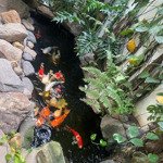 Siêu phẩm cực hotl tại hồng tiến trung tâm quận long biên ơi