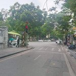 Mặt phố châu long, 595m2 2 tầng, mặt tiền 24m, 178 tỉ
