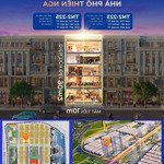 Cặp căn ngoại giao giá tốt cho các cư dân tinh hoa thích diện tích rộng tn2-223 & tn2-225
