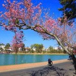Bán đất mặt tiền tặng nhà cấp 4 đà lạt. lh: uyên 0948676493.
