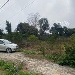 Cần bán 1400m đất thôn cao hảo hướng đạo tam dương vp