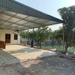 Chính chủ em bán gần 8 sào đất trang trại tại cấn hữu, quốc oai sẵn nhà ao điện nước sạch ô tô vào
