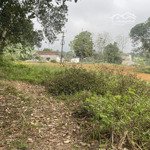 Bán đất tại xã hòa sơn, lương sơn, hòa bình, 3,5 triệu / m2, 3200 m2 giá tốt