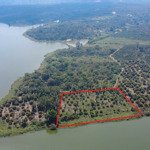 Siêu đẹp, 3830m2 bám mặt hồ lớn mát mẻ view đẹp 580tr