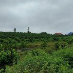 Cần bán 16 lô đất tổng diện tích 12.775m