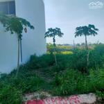 Lô đất tăng long garden trường thạnh dt 90m giá tốt