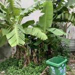 đất hẻm 218 võ văn hát, long trường, quận 9, 68m², giá 3.3 tỷ thương lượng.