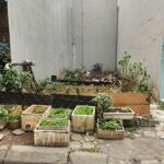 Hàng hiêm! đất phân lô đa sỹ, 50m* mt 4m giá nhỉnh 11 tỷ, ô tô, kinh doanh vp.