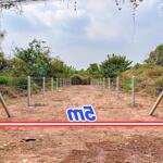 Bán đất mặt tiền xã văn cội củ chi, diện tích 121m2, sổ hồng riêng