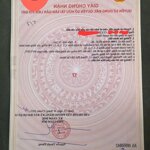 Sĩ - lẻ 3 lô đất (4x20) đường 7m thạnh lộc 27, q12 (ngay chung cư first home)