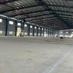 Cho thuê xưởng 9000m2 kcn phú mỹ 1, tx phú mỹ, brvt